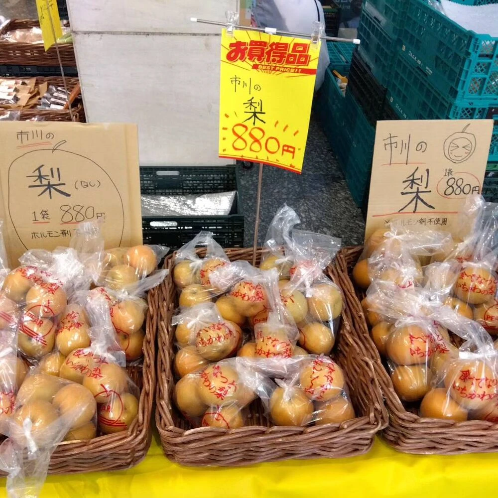 ブログ